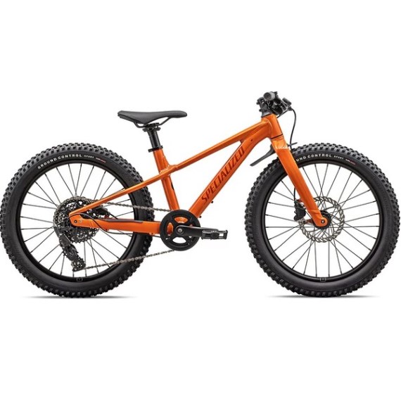 Bicicleta infantil rodado 20 RIPROCK