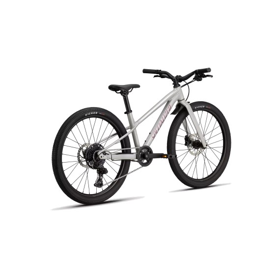 Bicicleta infantil rodado 24 RIPROCK