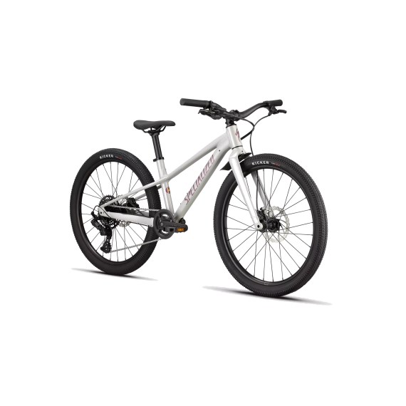 Bicicleta infantil rodado 24 RIPROCK