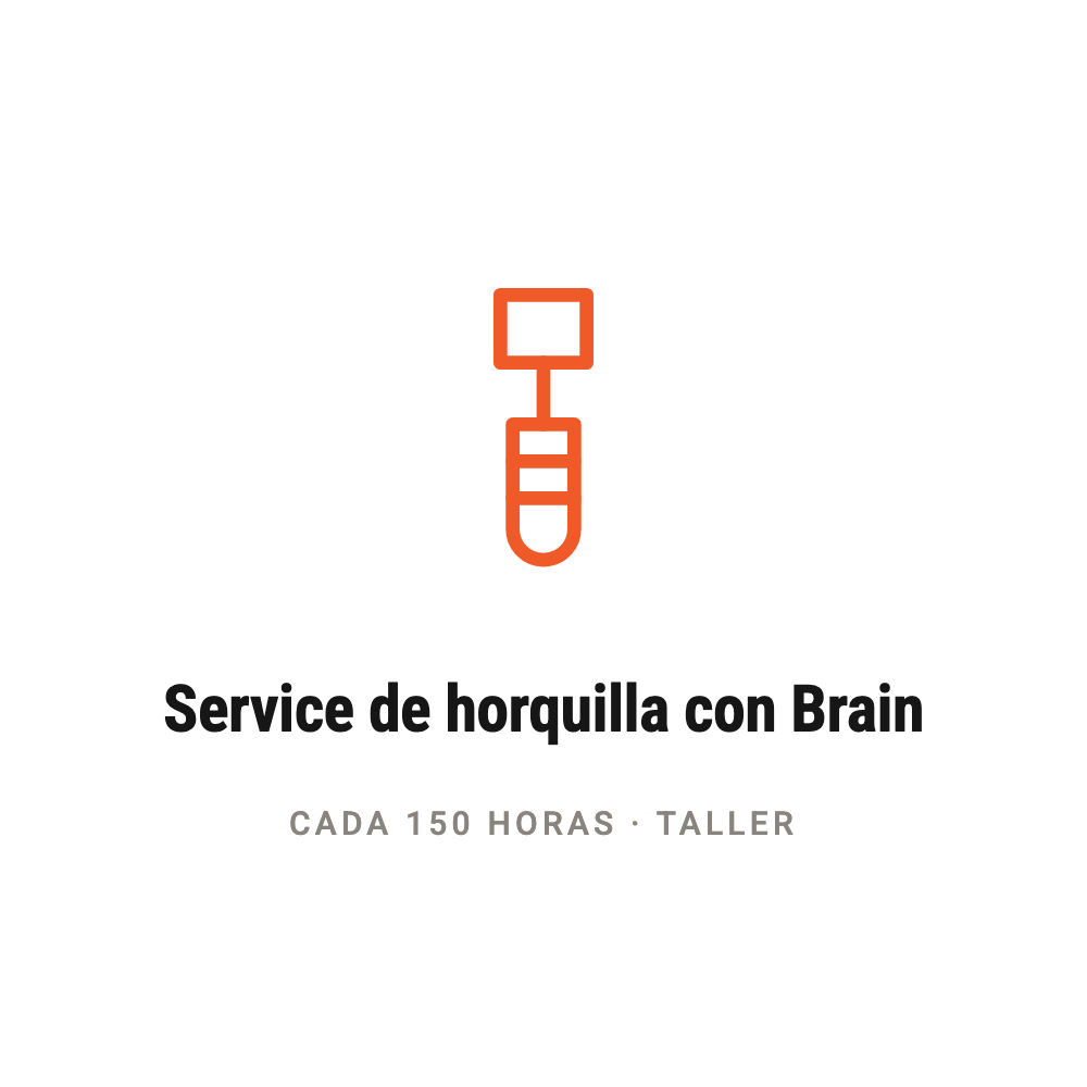 Service de horquilla con Brain, cada 150 horas